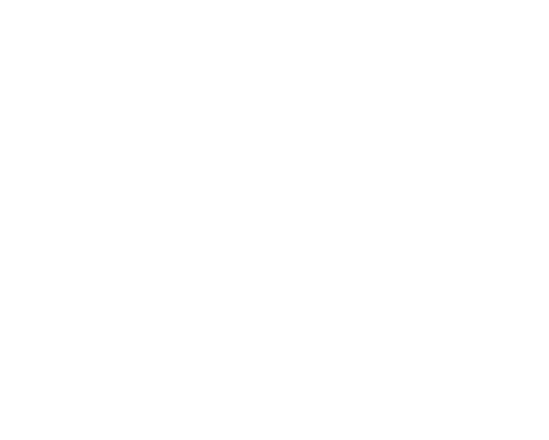 mcclimans logo